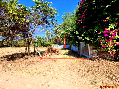 Land for sale Nakhon Ratchasima : LAND for sale  Ta Khu Pak Thong Chai Nakhon Ratchasima