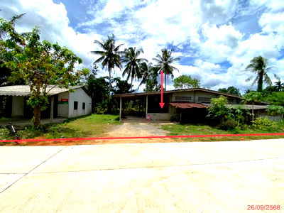 บ้านเดี่ยว ป่าพะยอม พัทลุง : บ้านเดี่ยว สำหรับขาย - บ้านพร้าว ป่าพะยอม พัทลุง