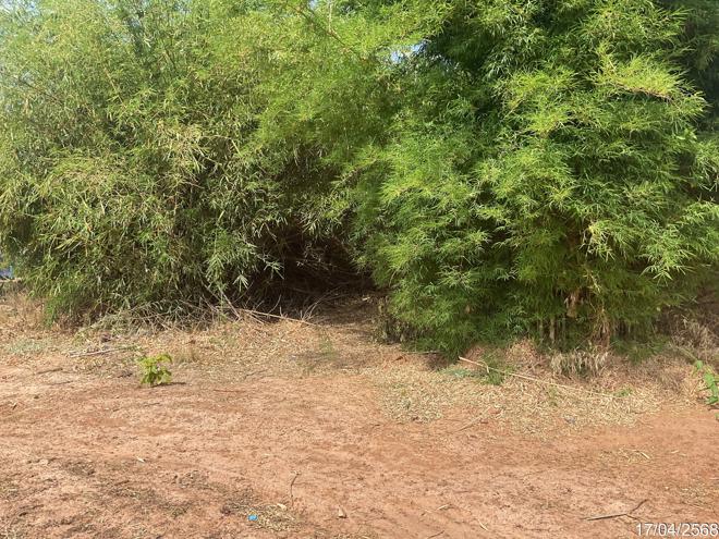 รูป ที่ดินว่างเปล่า สำหรับขาย - ไร่ พรรณานิคม สกลนคร - รูปที่ 3/24