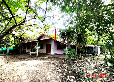 Houses for sale Lamphang : HOME for sale  Nong Lom Hang Chat Lamphang