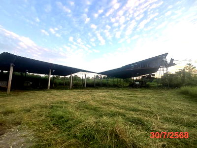 Factory for sale Nakhon Sri Thammarat : FACTORY for sale  Chan Di Chawang Nakhon Sri Thammarat