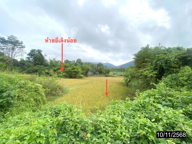 รูป ที่ดินว่างเปล่า สำหรับขาย - ศรีสองรัก เมืองเลย เลย - รูปที่ 5/16