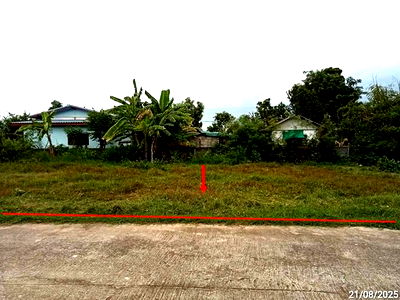 Land for sale Pa Kham Buri Ram : LAND for sale  Pa Kham Pa Kham Buri Ram