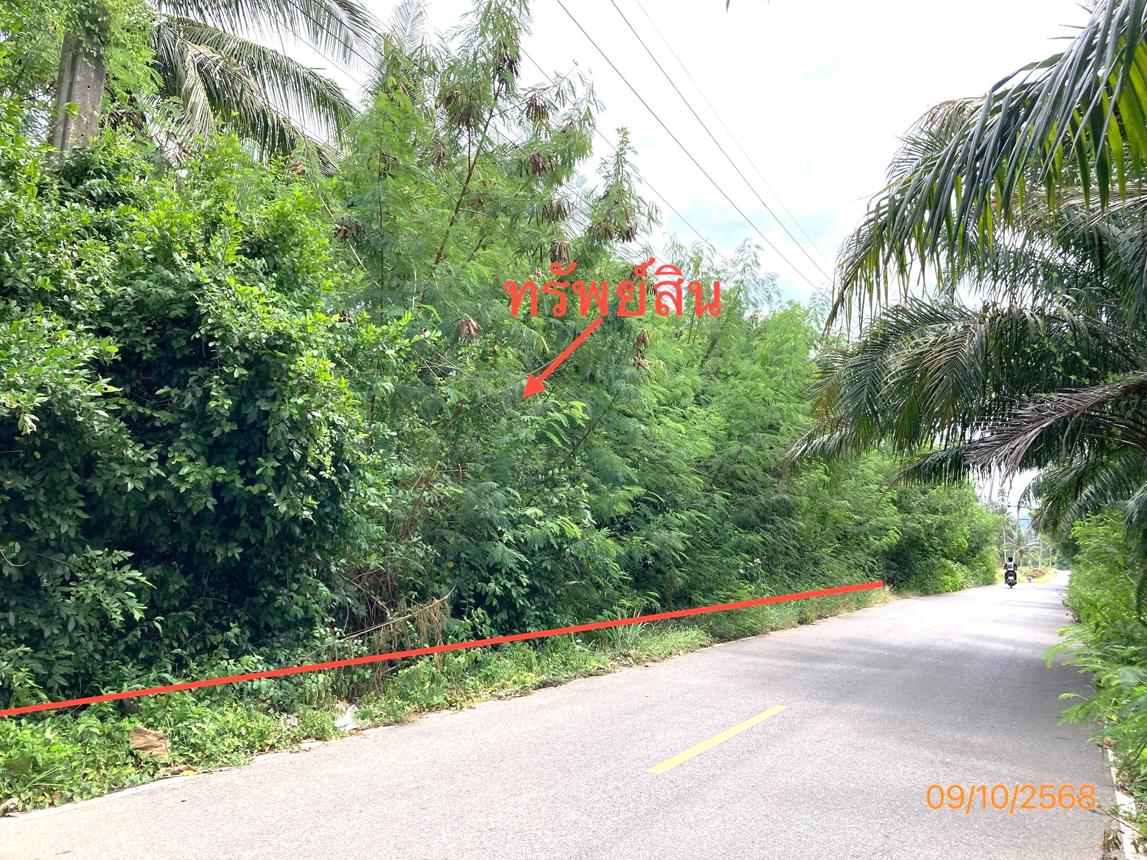 picture LAND for sale  Don Sak Don Sak Surat Thani - 20/36