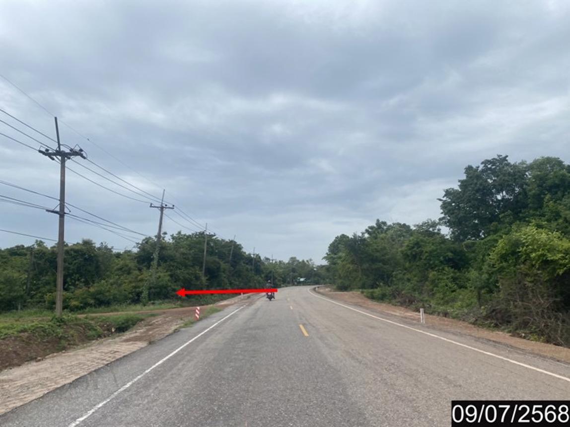 รูป ที่ดินว่างเปล่า สำหรับขาย - บ้านเชียง หนองหาน อุดรธานี - รูปที่ 16/20