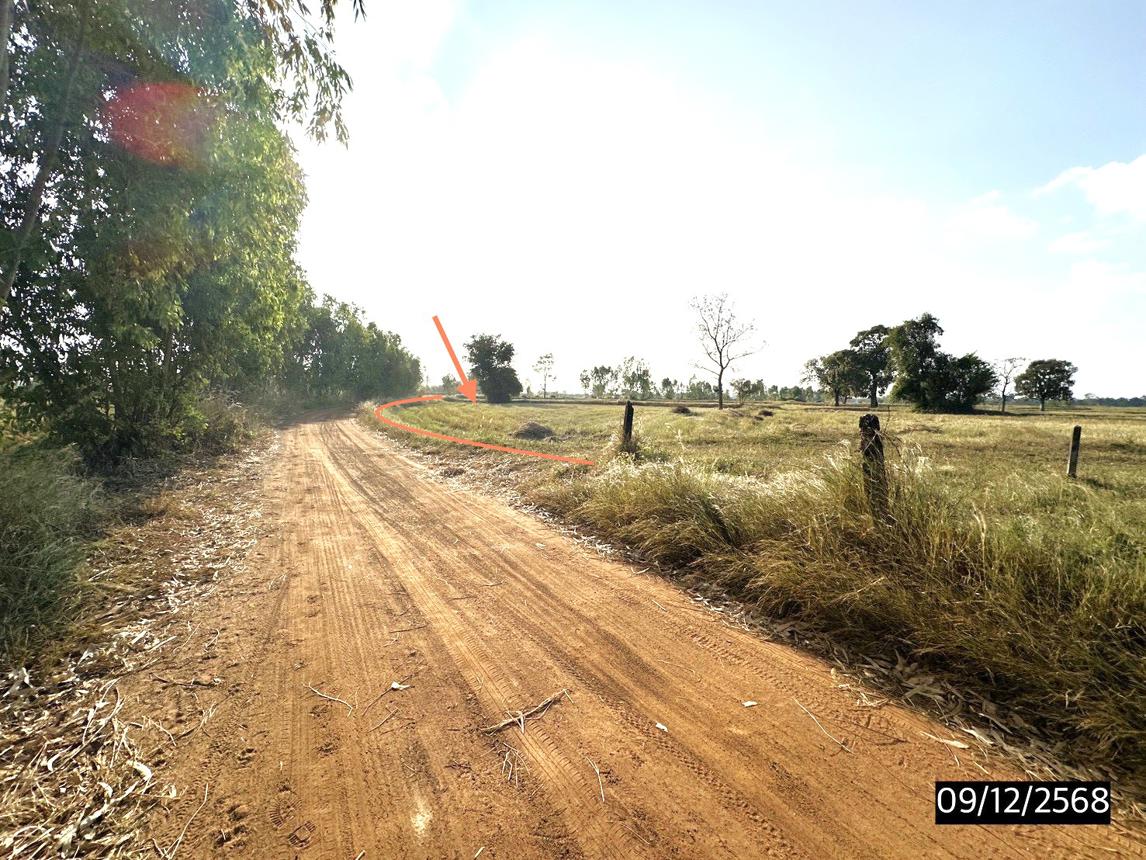 รูป ที่ดินว่างเปล่า สำหรับขาย - เชียงใหม่ โพธิ์ชัย ร้อยเอ็ด - รูปที่ 10/16