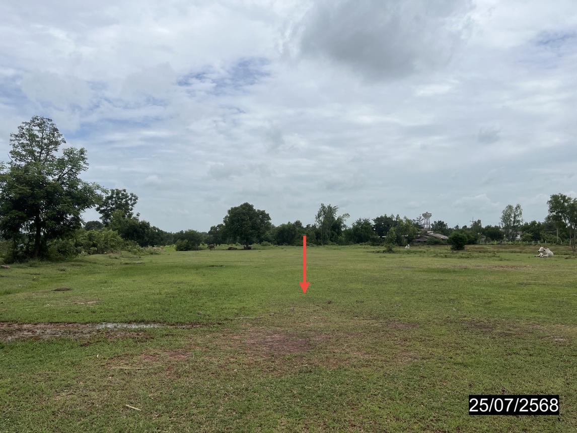 รูป ที่ดินว่างเปล่า สำหรับขาย - หัวช้าง จตุรพักตรพิมาน ร้อยเอ็ด - รูปที่ 10/16