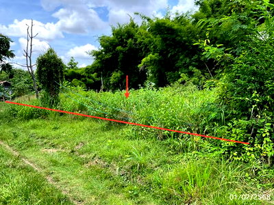 Land for sale Ubon Ratchathani : LAND for sale  Saraphi Pho Sai Ubon Ratchathani