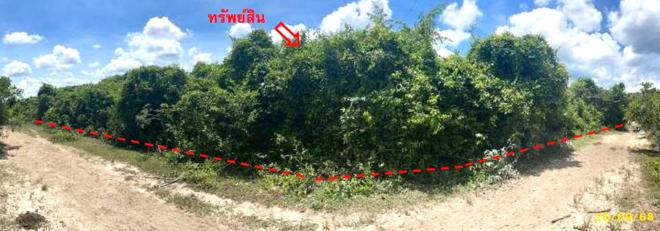 รูป ที่ดินว่างเปล่า สำหรับขาย - ลำภู เมืองนราธิวาส นราธิวาส - รูปที่ 4/20