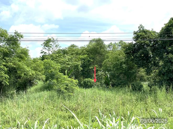 รูป ที่ดินว่างเปล่า สำหรับขาย - ท่าโพธิ์ เมืองพิษณุโลก พิษณุโลก - รูปที่ 5/18