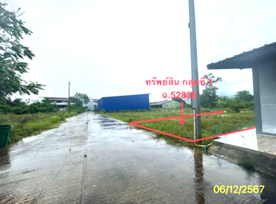 รูป ที่ดินว่างเปล่า สำหรับขาย - แพรกหา ควนขนุน พัทลุง - รูปที่ 10/14