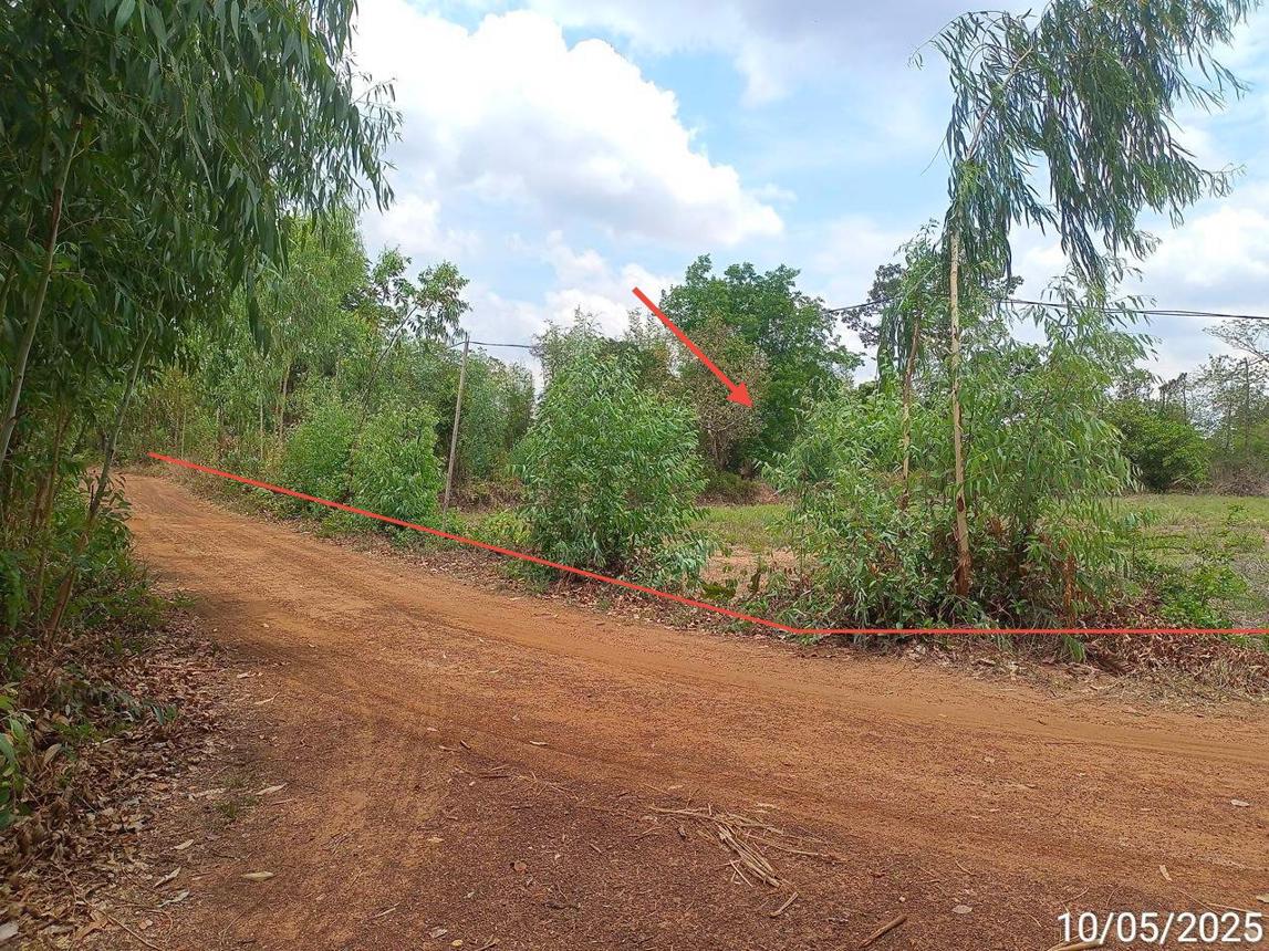 รูป ที่ดินว่างเปล่า สำหรับขาย - หนองเมือง ม่วงสามสิบ อุบลราชธานี - รูปที่ 13/24