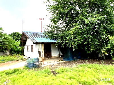 บ้านเดี่ยว เมืองชัยนาท ชัยนาท : บ้านเดี่ยว สำหรับขาย - นางลือ เมืองชัยนาท ชัยนาท