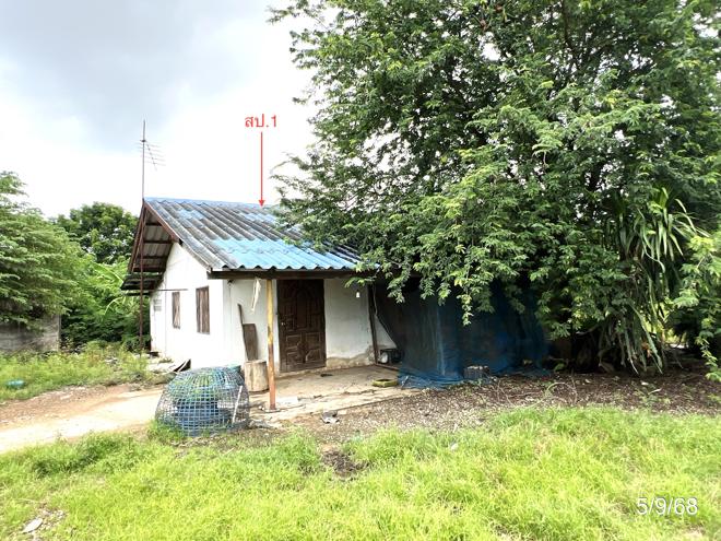 รูป บ้านเดี่ยว สำหรับขาย - นางลือ เมืองชัยนาท ชัยนาท - รูปที่ 1/20