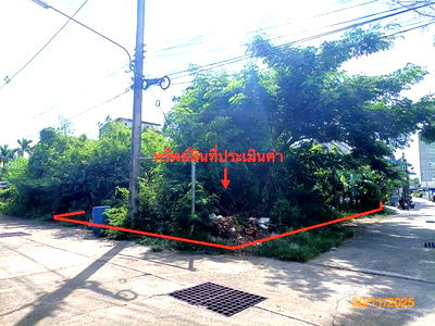 Land for sale Nakhon Sri Thammarat : LAND for sale  Pak Phanang Pak Phanang Nakhon Sri Thammarat