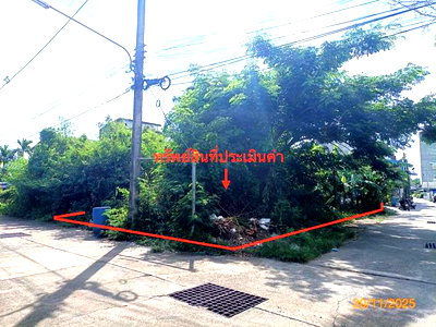 ที่ดินว่างเปล่า 39.2 ตร.วา ปากพนัง นครศรีธรรมราช 667,000
