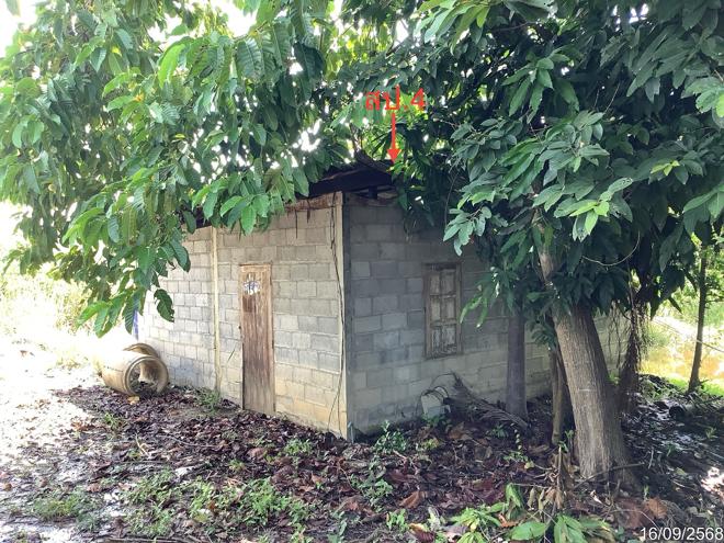 picture HOME for sale Wang Yang Khlong Khlung Kamphaeng Phet - 18/44