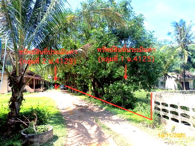 Land for sale Krabi : LAND for sale  Ko Lanta Noi Ko Lanta Krabi