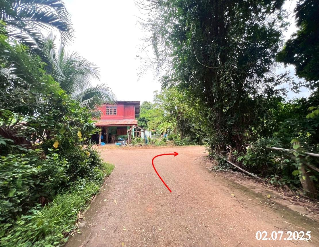 รูป ที่ดินว่างเปล่า สำหรับขาย - ด่านแม่คำมัน ลับแล อุตรดิตถ์ - รูปที่ 15/20