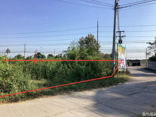 รูป ที่ดินว่างเปล่า สำหรับขาย - หนองปรง เขาย้อย เพชรบุรี - รูปที่ 6/24