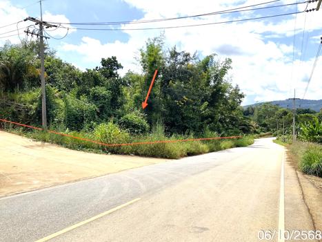 picture LAND for sale Wiang Chiang Saen Chiang Rai - 13/16