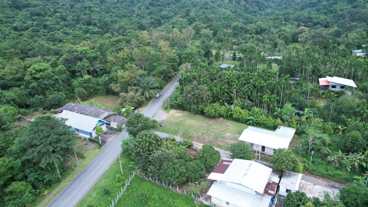 รูป ขายบ้านพร้อมที่ดิน 200 ตารางวา ต.เขาพระ อ.เมืองนครนายก ติดถนนหลัก วิวเขาชัด - รูปที่ 9/32