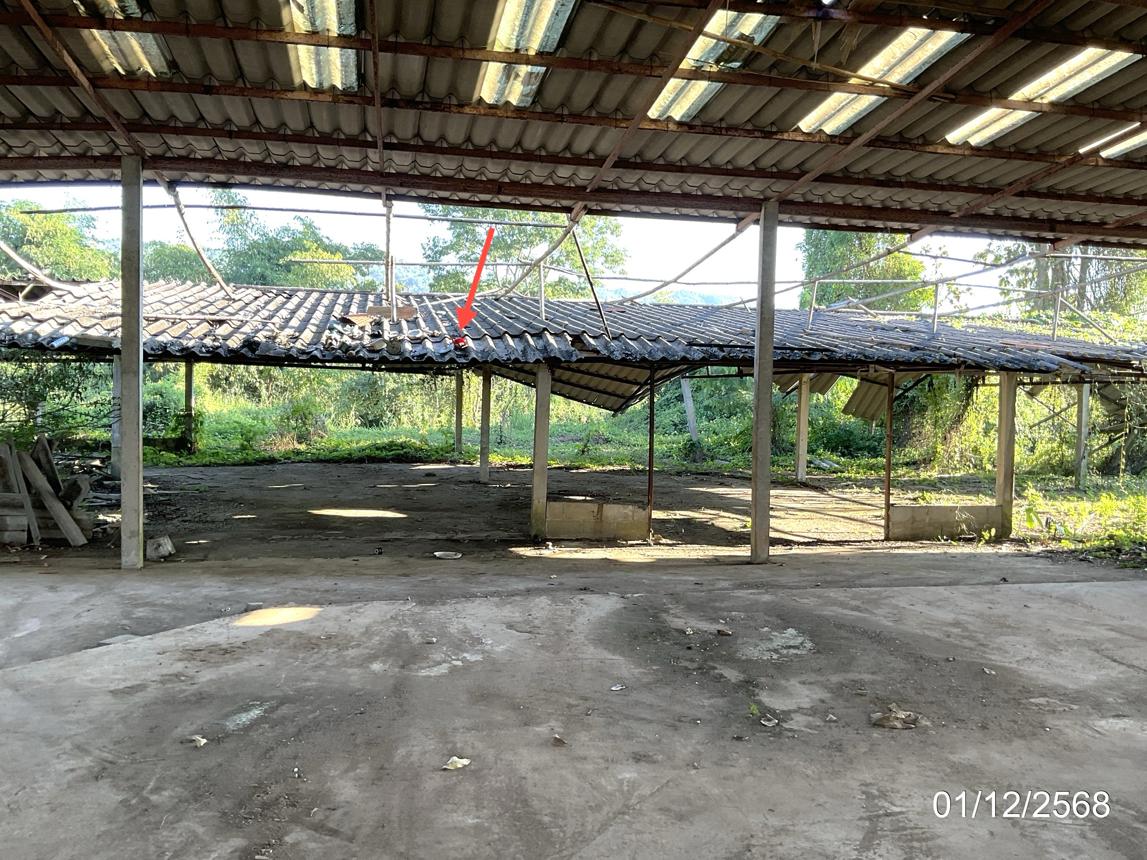 รูป โกดัง สำหรับขาย - เมืองชุม เวียงชัย เชียงราย - รูปที่ 33/40