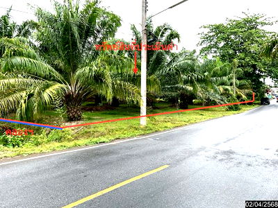 Land for sale Nakhon Sri Thammarat : LAND for sale  Chan Di Chawang Nakhon Sri Thammarat
