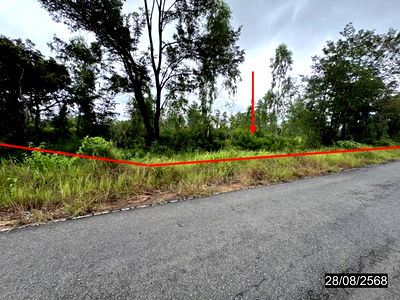 Land for sale Amnat Charoen : LAND for sale  Senangkhanikhom Senangkhanikhom Amnat Charoen