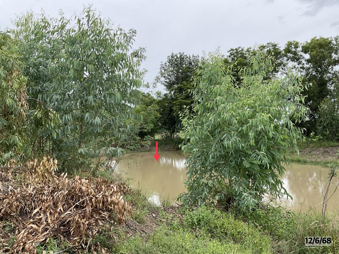 รูป ที่ดินว่างเปล่า สำหรับขาย - โนนข่า พล ขอนแก่น - รูปที่ 16/20