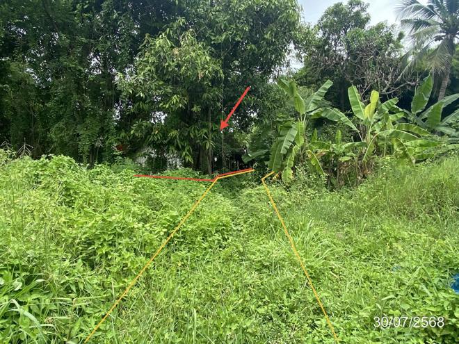 รูป ที่ดินว่างเปล่า สำหรับขาย - กู่ทอง เชียงยืน มหาสารคาม - รูปที่ 8/20