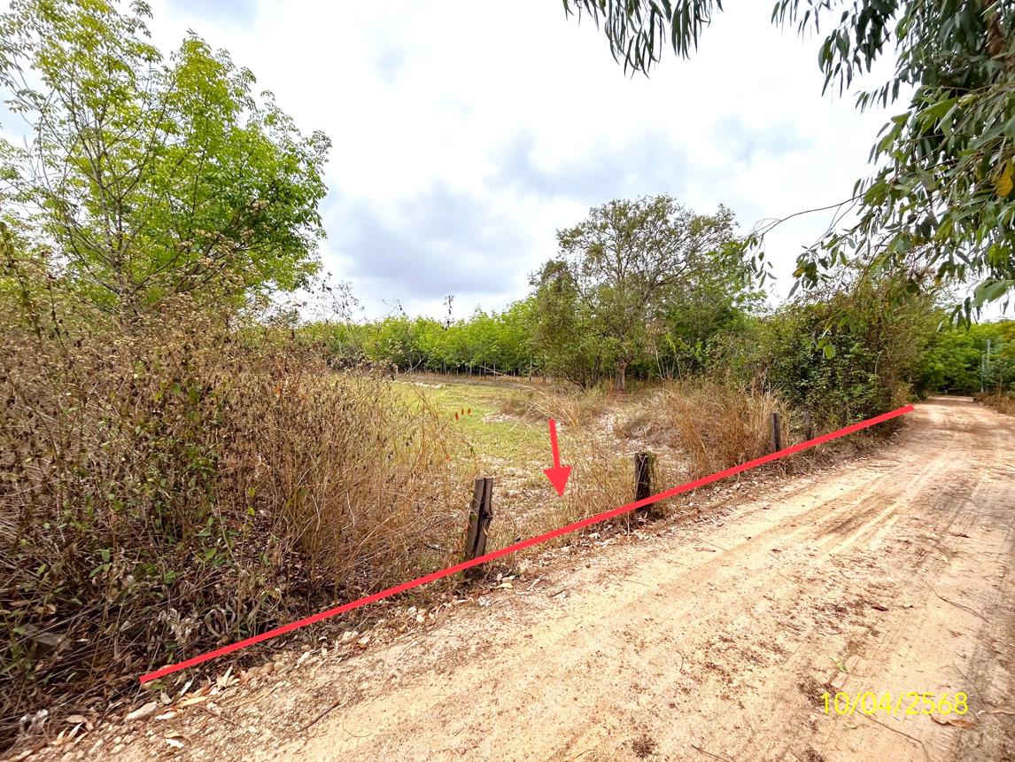 รูป ที่ดินว่างเปล่า สำหรับขาย - คำครั่ง เดชอุดม อุบลราชธานี - รูปที่ 7/16