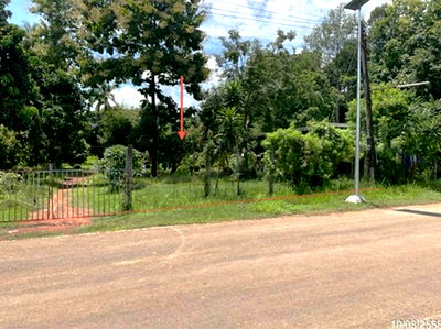 Land for sale That Phanom Nakhon Phanom : LAND for sale  Don Nang Hong That Phanom Nakhon Phanom