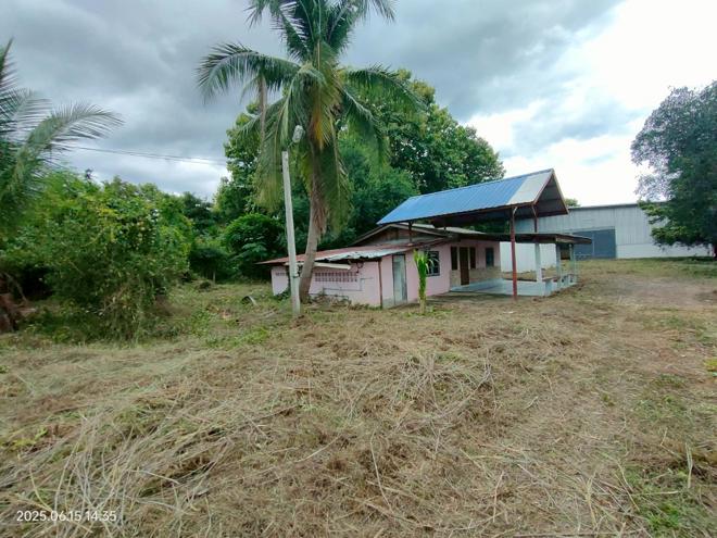 picture FACTORY for sale Wang Chomphu Muang Phetchabun Phetchabun - 6/38