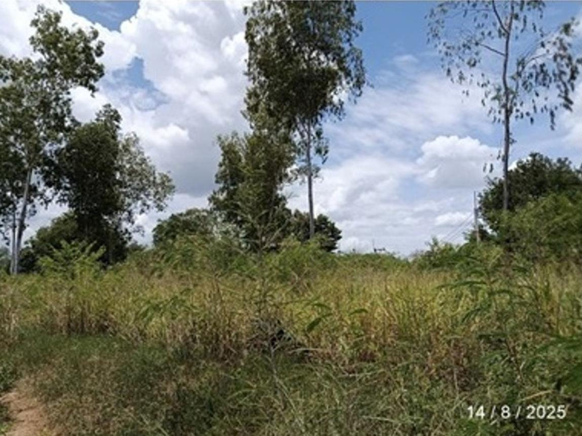 picture LAND for sale  Pluak Daeng Pluak Daeng Rayong - 14/24