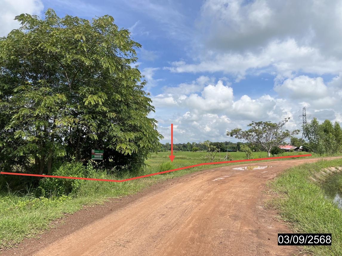 รูป ที่ดินว่างเปล่า สำหรับขาย - สีแก้ว เมืองร้อยเอ็ด ร้อยเอ็ด - รูปที่ 17/24