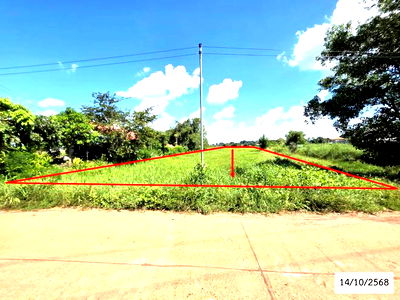 Land for sale Sakon Nakhon : LAND for sale  Muang Khai Phang Khon Sakon Nakhon