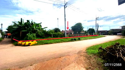 บ้านเดี่ยว ท่าลี่ เลย : บ้านเดี่ยว สำหรับขาย - หนองผือ ท่าลี่ เลย