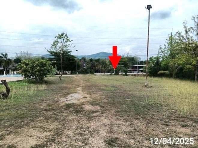 รูป ที่ดินว่างเปล่า สำหรับขาย - ศรีสองรัก เมืองเลย เลย - รูปที่ 1/14