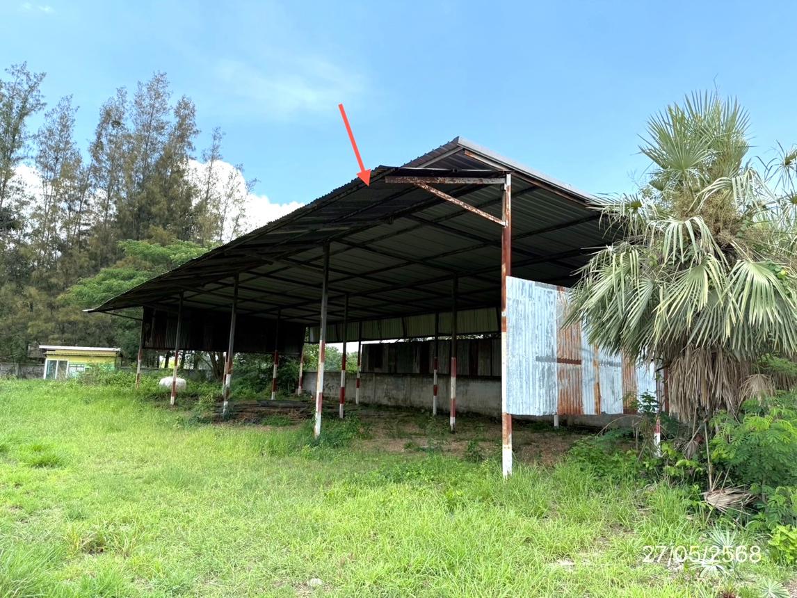 รูป อาคารโรงงาน สำหรับขาย - โพนข่า เมืองศรีสะเกษ ศรีสะเกษ - รูปที่ 39/52