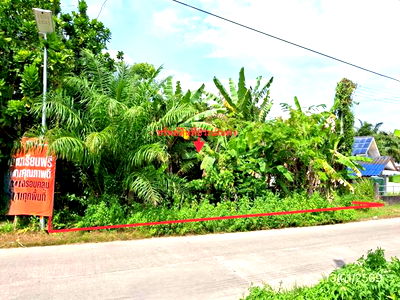 Land for sale Nua Khlong Krabi : LAND for sale  Khlong Khanan Nua Khlong Krabi