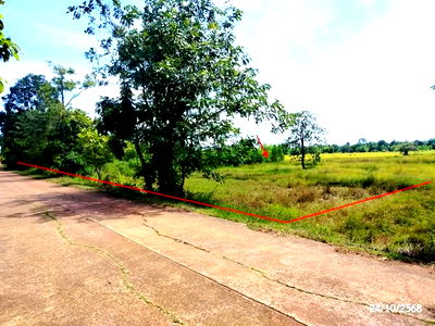 Land for sale Phon Na Kaeo Sakon Nakhon : LAND for sale  Ban Phon Phon Na Kaeo Sakon Nakhon