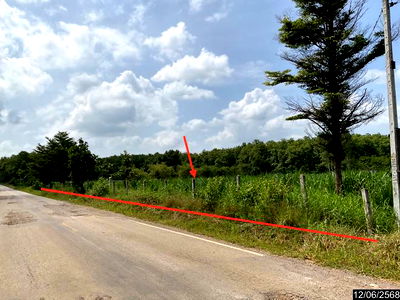 ที่ดิน เลย : ที่ดินว่างเปล่า สำหรับขาย - เอราวัณ เอราวัณ เลย