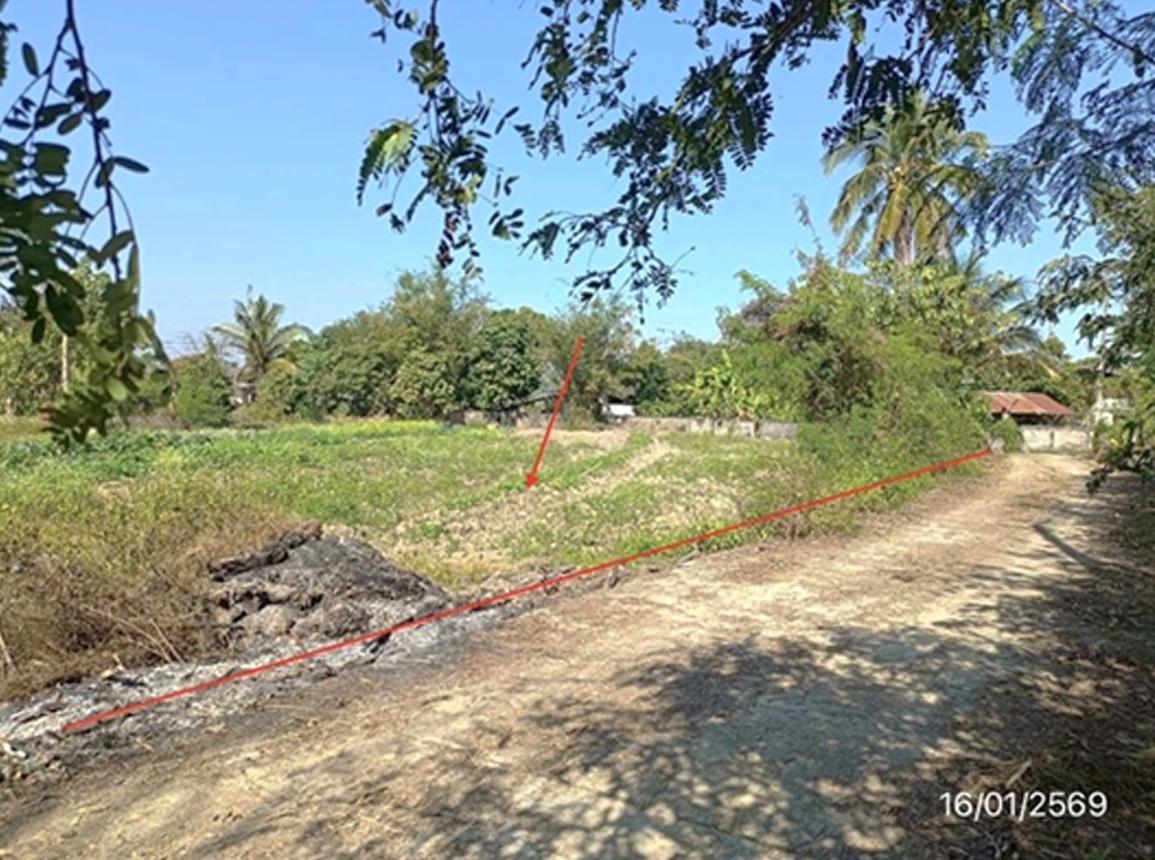 รูป ที่ดินว่างเปล่า สำหรับขาย - ป่าก่อดำ แม่ลาว เชียงราย - รูปที่ 9/16