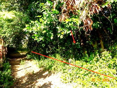 Land for sale Chang International Circuit : LAND for sale  E-san Muang Buri Ram Buri Ram