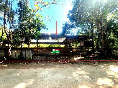 Houses for sale Chaeng Sanit Road, Ubon Ratchathani : HOME for sale  Khuang Kham Muang Ya Sothon Yasothon