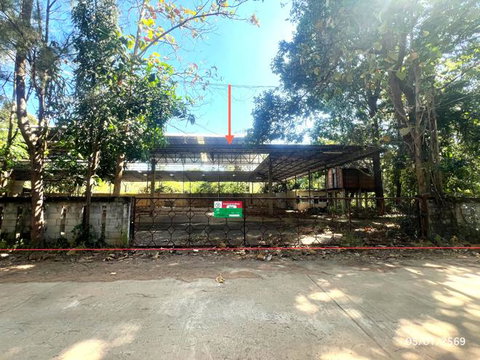 บ้านเดี่ยว 533 ตร.วา เมืองยโสธร ยโสธร 4M