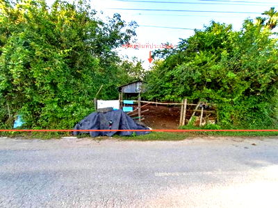 Land for sale Songkhla : LAND for sale  Thung Lan Khlong Hoi Khong Songkhla