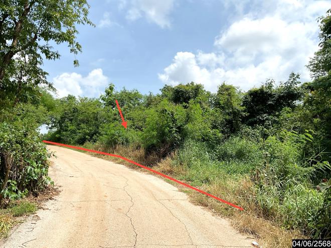 รูป ที่ดินว่างเปล่า สำหรับขาย - นาดินดำ เมืองเลย เลย - รูปที่ 1/18