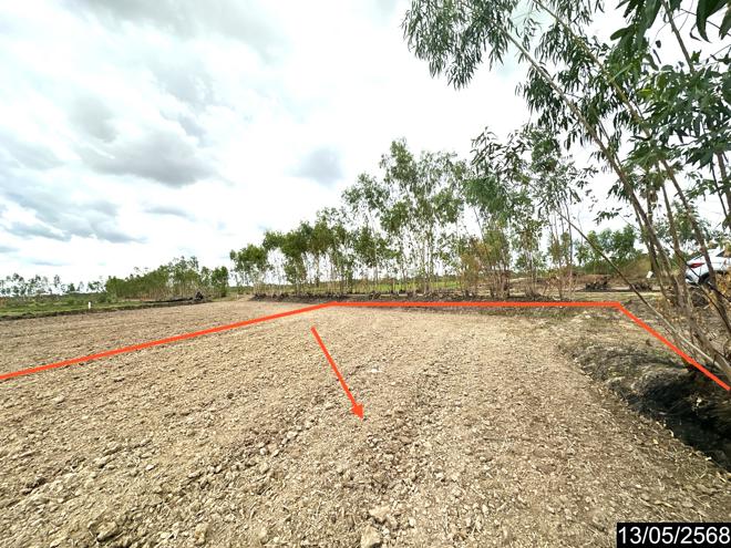 รูป ที่ดินว่างเปล่า สำหรับขาย - คูเมือง มหาชนะชัย ยโสธร - รูปที่ 4/22